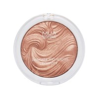 HIGHLIGHTERS - BRONZERS