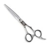 ΨΑΛΙΔΙ ΚΟΥΡΕΜΑΤΟΣ SILVER SHARK CAPTAIN COOK 6.0" 09356.