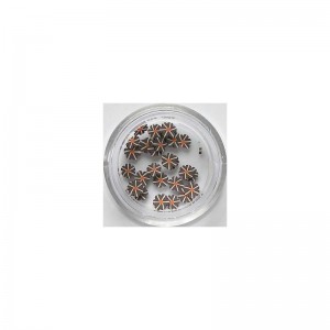 FIMO ΣΕ ΦΕΤΕΣ No.06 5mm 25τεμ. FIMO ΣΕ ΦΕΤΕΣ No.06 5mm 25τεμ.