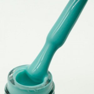 NAILP GEL POLISH SOAK OFF UV/LED #877 12ml