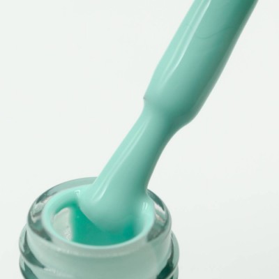 NAILP GEL POLISH SOAK OFF UV/LED #1105 12ml NAILP GEL POLISH SOAK OFF UV/LED #1105 12ml