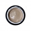 NAILP PAINTING GEL DRAW AND SPONGE #004 8gr NAILP PAINTING GEL DRAW AND SPONGE #004 8gr