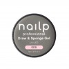 NAILP PAINTING GEL DRAW AND SPONGE #006 8gr NAILP PAINTING GEL DRAW AND SPONGE #006 8gr