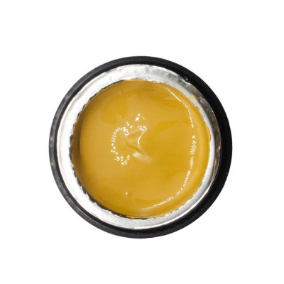 NAILP PAINTING GEL DRAW AND SPONGE #039 8gr NAILP PAINTING GEL DRAW AND SPONGE #039 8gr
