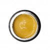 NAILP PAINTING GEL DRAW AND SPONGE #039 8gr NAILP PAINTING GEL DRAW AND SPONGE #039 8gr