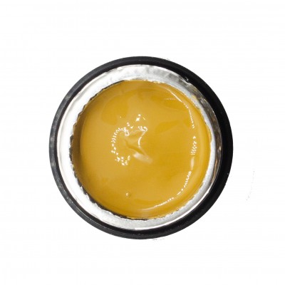 NAILP PAINTING GEL DRAW AND SPONGE #039 8gr NAILP PAINTING GEL DRAW AND SPONGE #039 8gr