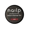 NAILP PAINTING GEL DRAW AND SPONGE #060 8gr NAILP PAINTING GEL DRAW AND SPONGE #060 8gr