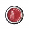 NAILP PAINTING GEL DRAW AND SPONGE #060 8gr NAILP PAINTING GEL DRAW AND SPONGE #060 8gr