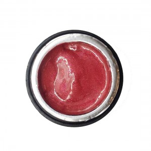 NAILP PAINTING GEL DRAW AND SPONGE #060 8gr NAILP PAINTING GEL DRAW AND SPONGE #060 8gr