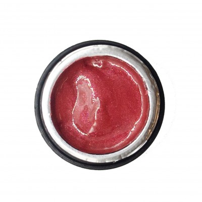 NAILP PAINTING GEL DRAW AND SPONGE #060 8gr NAILP PAINTING GEL DRAW AND SPONGE #060 8gr