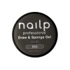 NAILP PAINTING GEL DRAW AND SPONGE #062 8gr NAILP PAINTING GEL DRAW AND SPONGE #062 8gr