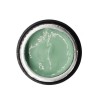 NAILP PAINTING GEL DRAW AND SPONGE #051 8gr NAILP PAINTING GEL DRAW AND SPONGE #051 8gr
