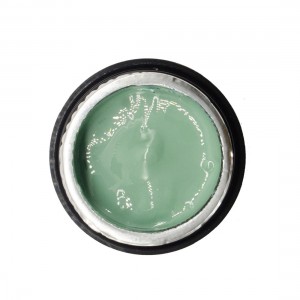 NAILP PAINTING GEL DRAW AND SPONGE #051 8gr NAILP PAINTING GEL DRAW AND SPONGE #051 8gr