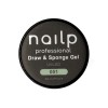 NAILP PAINTING GEL DRAW AND SPONGE #051 8gr NAILP PAINTING GEL DRAW AND SPONGE #051 8gr