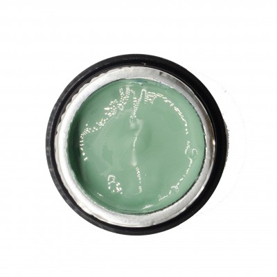 NAILP PAINTING GEL DRAW AND SPONGE #051 8gr NAILP PAINTING GEL DRAW AND SPONGE #051 8gr