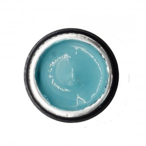 NAILP PAINTING GEL DRAW AND SPONGE #049 8gr NAILP PAINTING GEL DRAW AND SPONGE #049 8gr