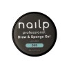 NAILP PAINTING GEL DRAW AND SPONGE #049 8gr NAILP PAINTING GEL DRAW AND SPONGE #049 8gr