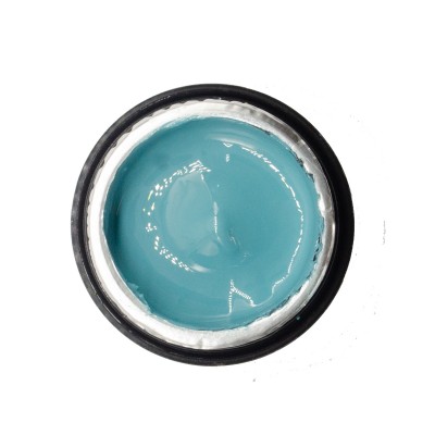 NAILP PAINTING GEL DRAW AND SPONGE #049 8gr NAILP PAINTING GEL DRAW AND SPONGE #049 8gr