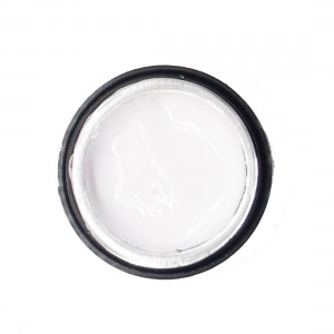 NAILP PAINTING GEL DRAW AND SPONGE #061 8gr NAILP PAINTING GEL DRAW AND SPONGE #061 8gr