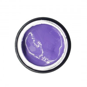 NAILP PAINTING GEL DRAW AND SPONGE #045 8gr NAILP PAINTING GEL DRAW AND SPONGE #045 8gr