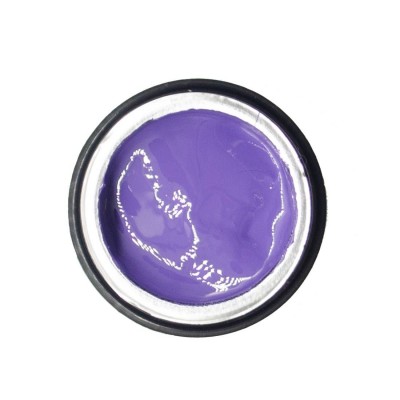 NAILP PAINTING GEL DRAW AND SPONGE #045 8gr NAILP PAINTING GEL DRAW AND SPONGE #045 8gr