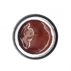 NAILP PAINTING GEL DRAW AND SPONGE #033 8gr NAILP PAINTING GEL DRAW AND SPONGE #033 8gr