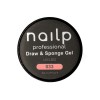 NAILP PAINTING GEL DRAW AND SPONGE #033 8gr NAILP PAINTING GEL DRAW AND SPONGE #033 8gr