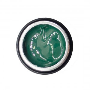 NAILP PAINTING GEL DRAW AND SPONGE #055 8gr NAILP PAINTING GEL DRAW AND SPONGE #055 8gr