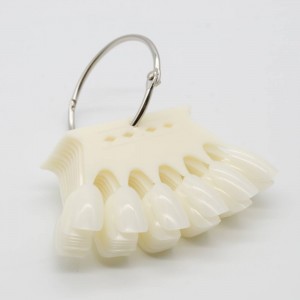 NAILP ΠΑΛΕΤΑ ΝΥΧΙΩΝ ΦΥΣΙΚΗ ΜΕ ΚΡΙΚΟ 10 ΘΕΣΕΩΝ NAILP ΠΑΛΕΤΑ ΝΥΧΙΩΝ ΦΥΣΙΚΗ ΜΕ ΚΡΙΚΟ 10 ΘΕΣΕΩΝ