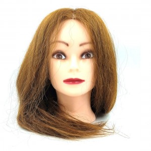 ΚΟΥΚΛΑ ΚΕΦΑΛΙ ΕΚΠΑΙΔΕΥΣΗΣ ΦΥΣΙΚΗ ΚΑΣΤΑΝΟ P-AA ΚΟΥΚΛΑ ΚΕΦΑΛΙ ΕΚΠΑΙΔΕΥΣΗΣ ΦΥΣΙΚΗ ΚΑΣΤΑΝΟ P-AA