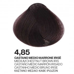 ΒΑΦΗ PALCOLOR 4.85 ΚΑΣΤΑΝΟ ΜΕΣΑΙΟ ΚΑΦΕ ΙΡΙΔΙΖΟΝ 100ml ΒΑΦΗ PALCOLOR 4.85 ΚΑΣΤΑΝΟ ΜΕΣΑΙΟ ΚΑΦΕ ΙΡΙΔΙΖΟΝ 100ml
