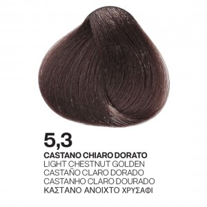 ΒΑΦΗ PALCOLOR 5.3 ΚΑΣΤΑΝΟ ΑΝΟΙΧΤΟ ΧΡΥΣΑΦΙ 100ml ΒΑΦΗ PALCOLOR 5.3 ΚΑΣΤΑΝΟ ΑΝΟΙΧΤΟ ΧΡΥΣΑΦΙ 100ml