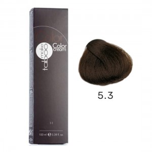 ΒΑΦΗ TABOO 5.3 ΑΝΟΙΧΤΟ ΞΑΝΘΟ ΧΡΥΣΟ 100ml ΒΑΦΗ TABOO 5.3 ΑΝΟΙΧΤΟ ΞΑΝΘΟ ΧΡΥΣΟ 100ml